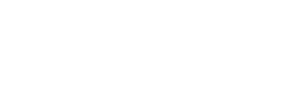 eCoin BD white logo
